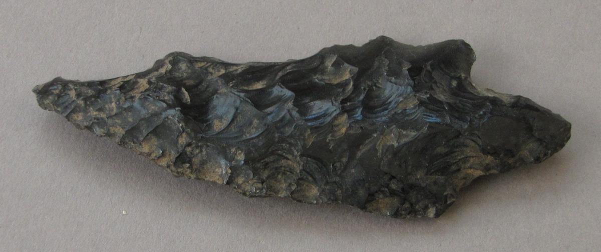 IV Ca 25381