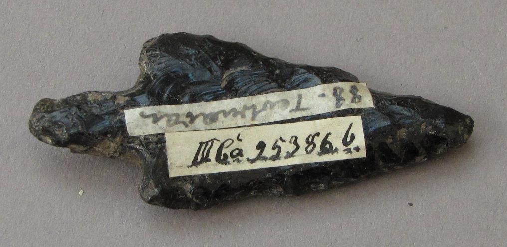 IV Ca 25386 b