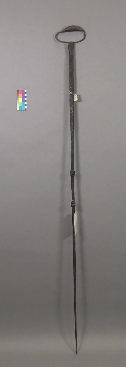 III C 29356
