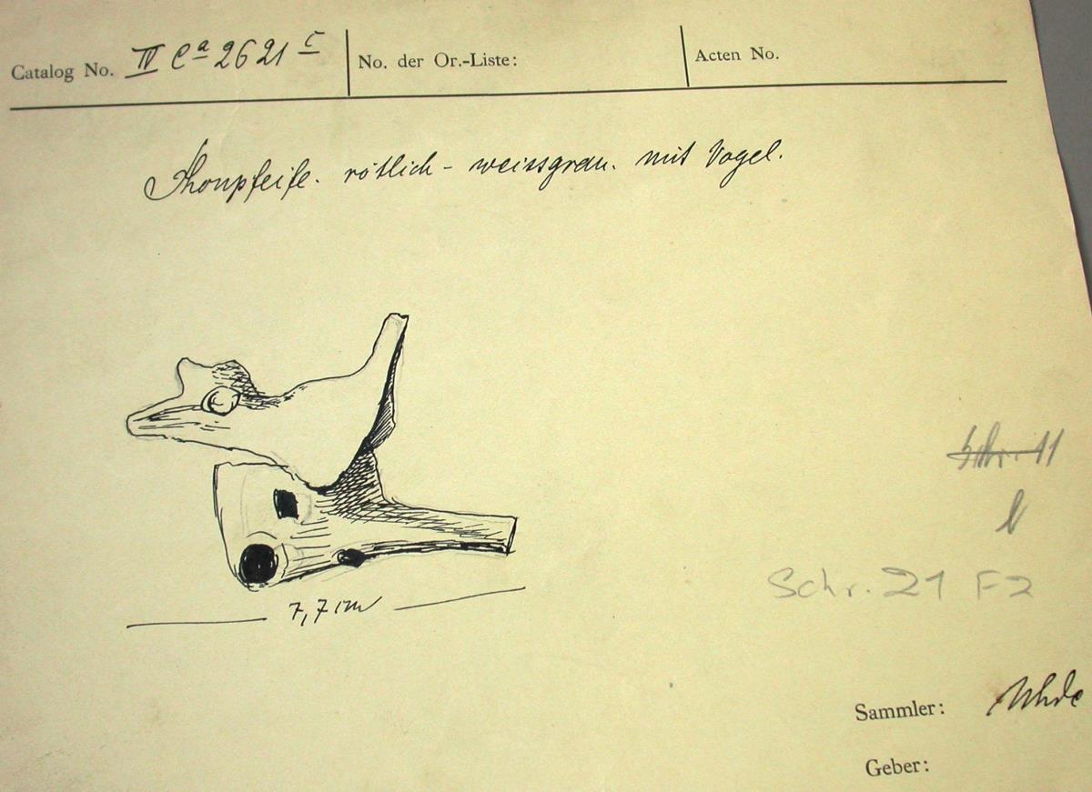 "Vogel"