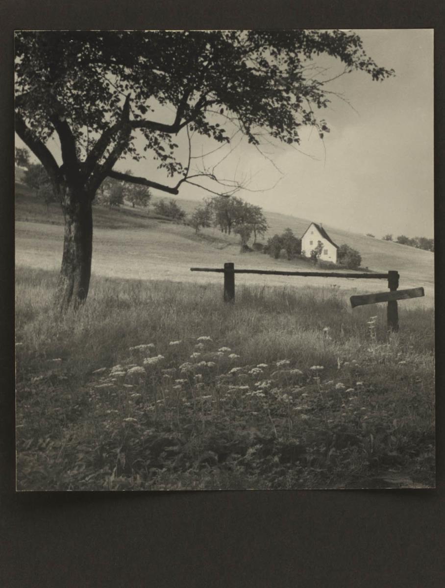 Landschaft mit Baum und Haus
