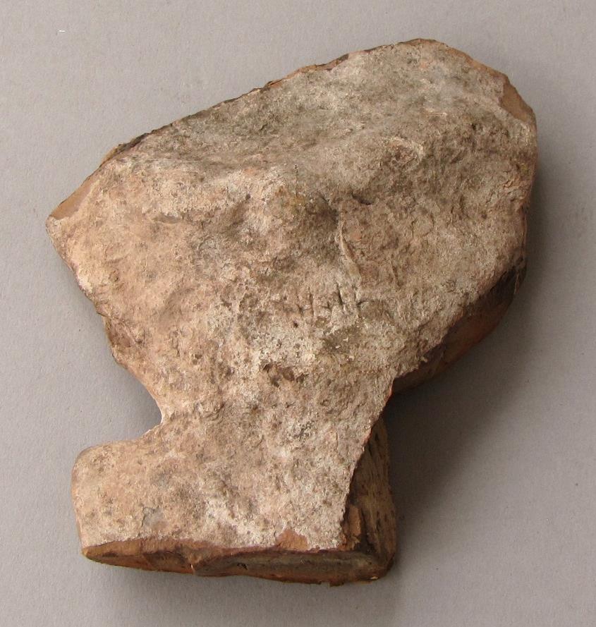 V C 1443 a