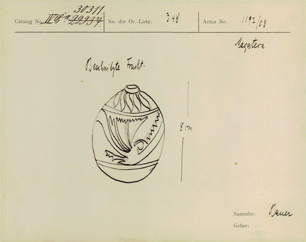 IV Ca 30311