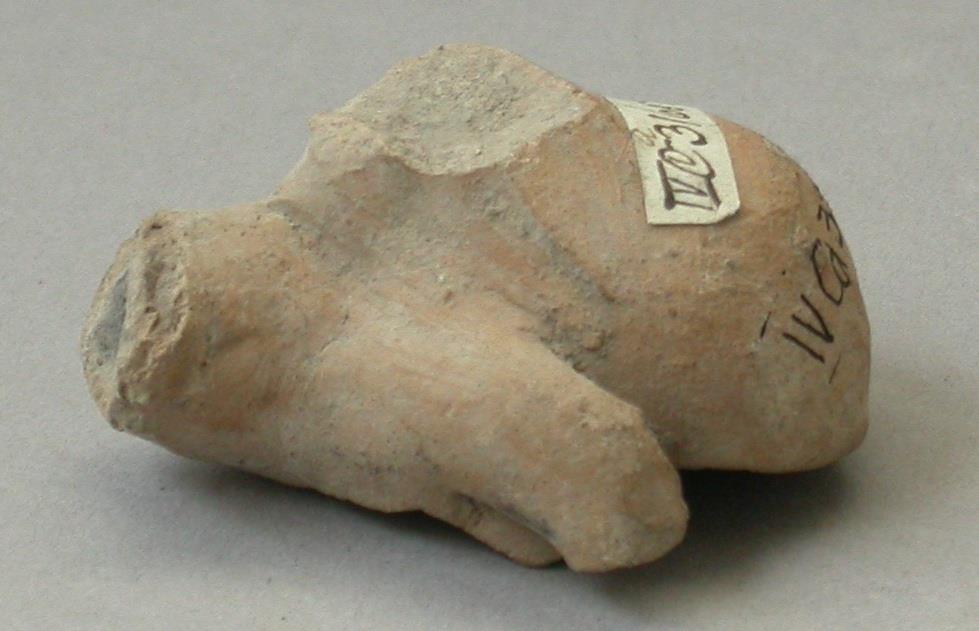 IV Ca 3166 v v