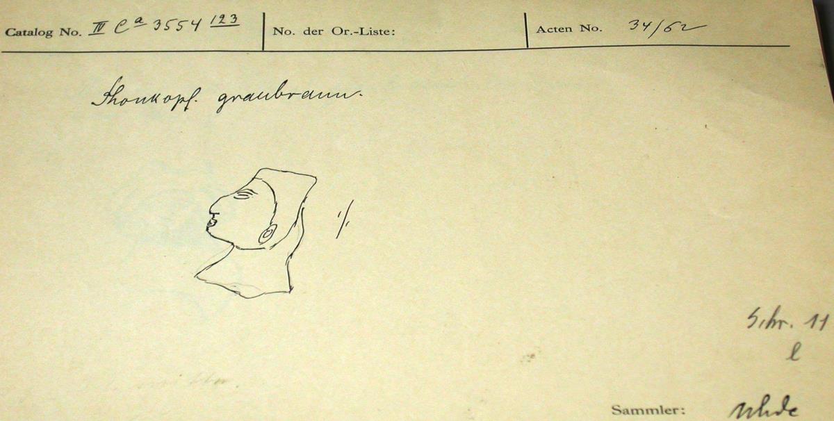 IV Ca 3554 (123)