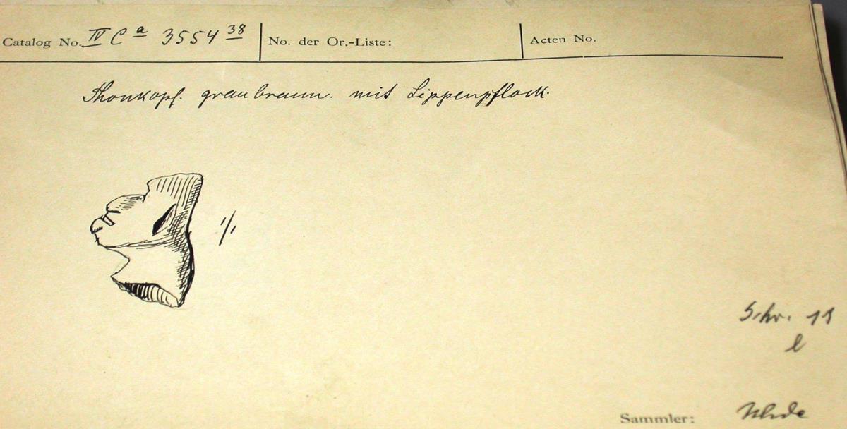 IV Ca 3554 (38)