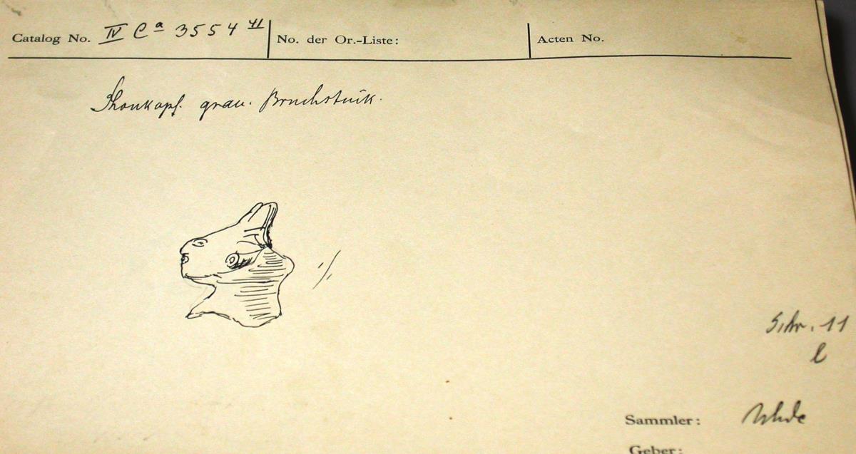 IV Ca 3554 (41)