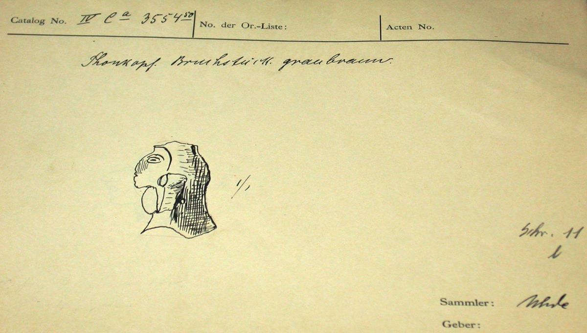 IV Ca 3554 (50)