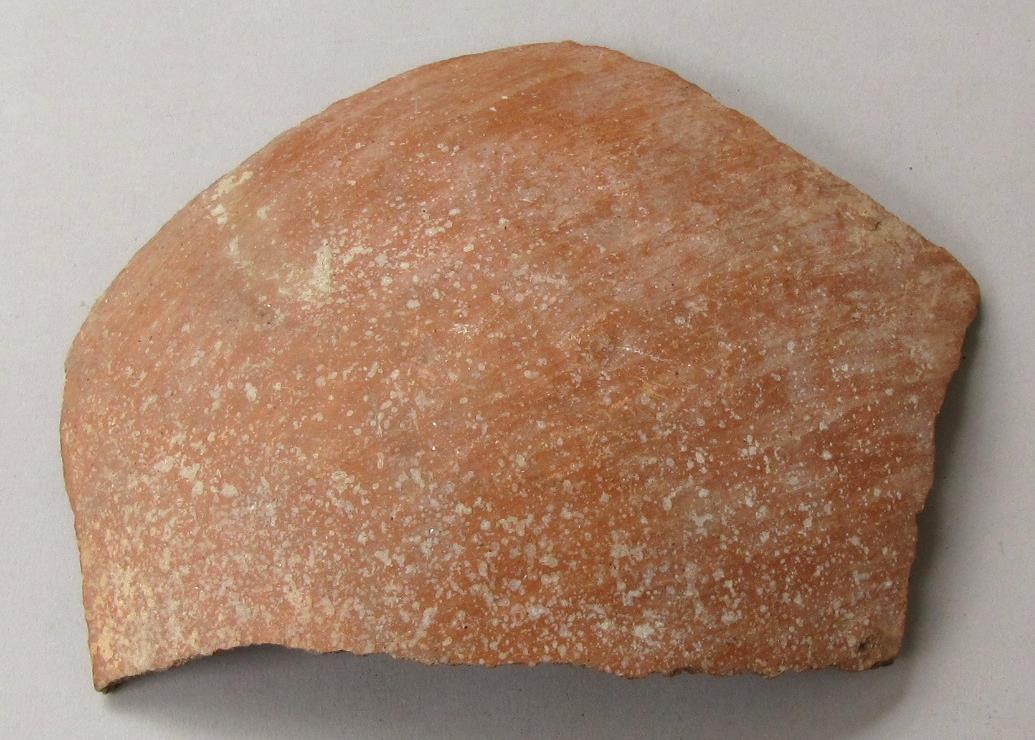 V C 1307 c