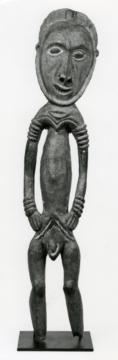 VI 53531