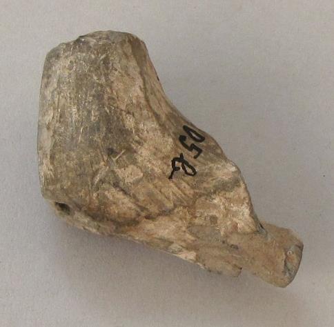 V C 1685