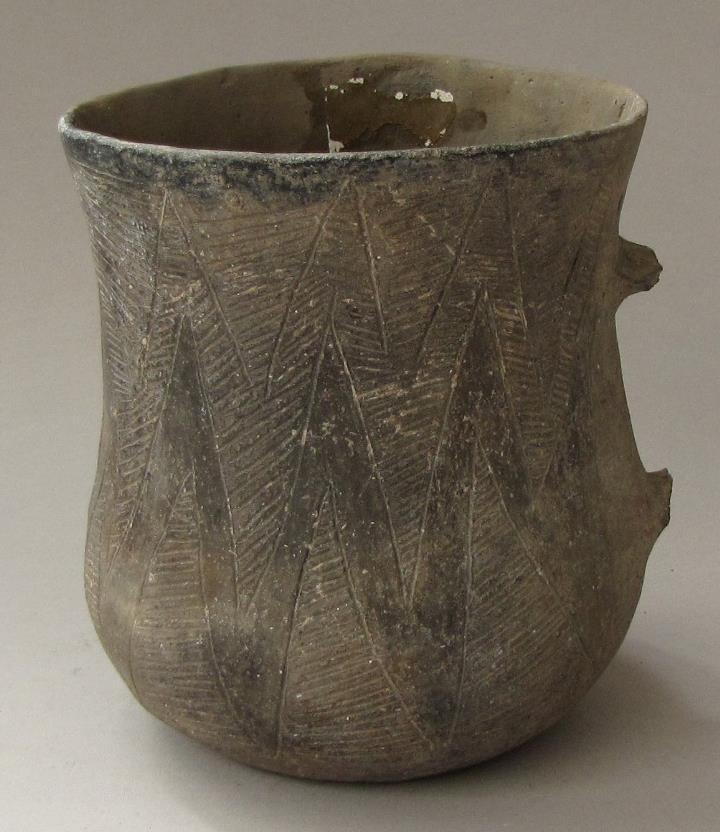 V C 1646