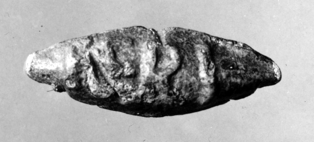 Schleuderkugel mit Inschrift FERI POMP(ejum)