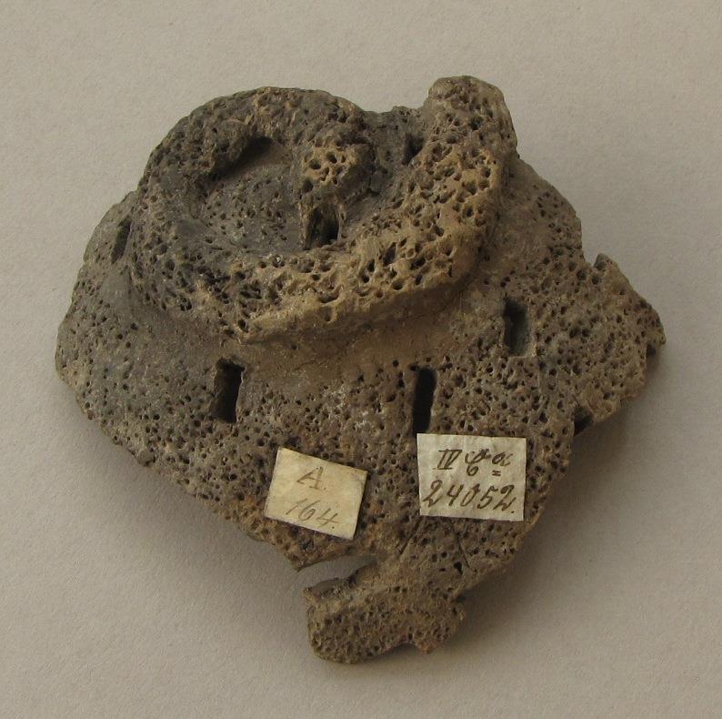 IV Ca 24052