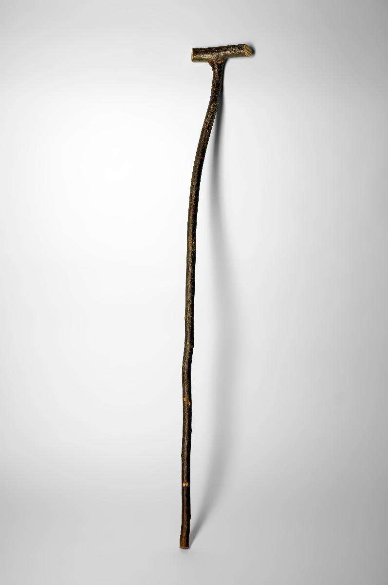 N (9 M) 55/2022