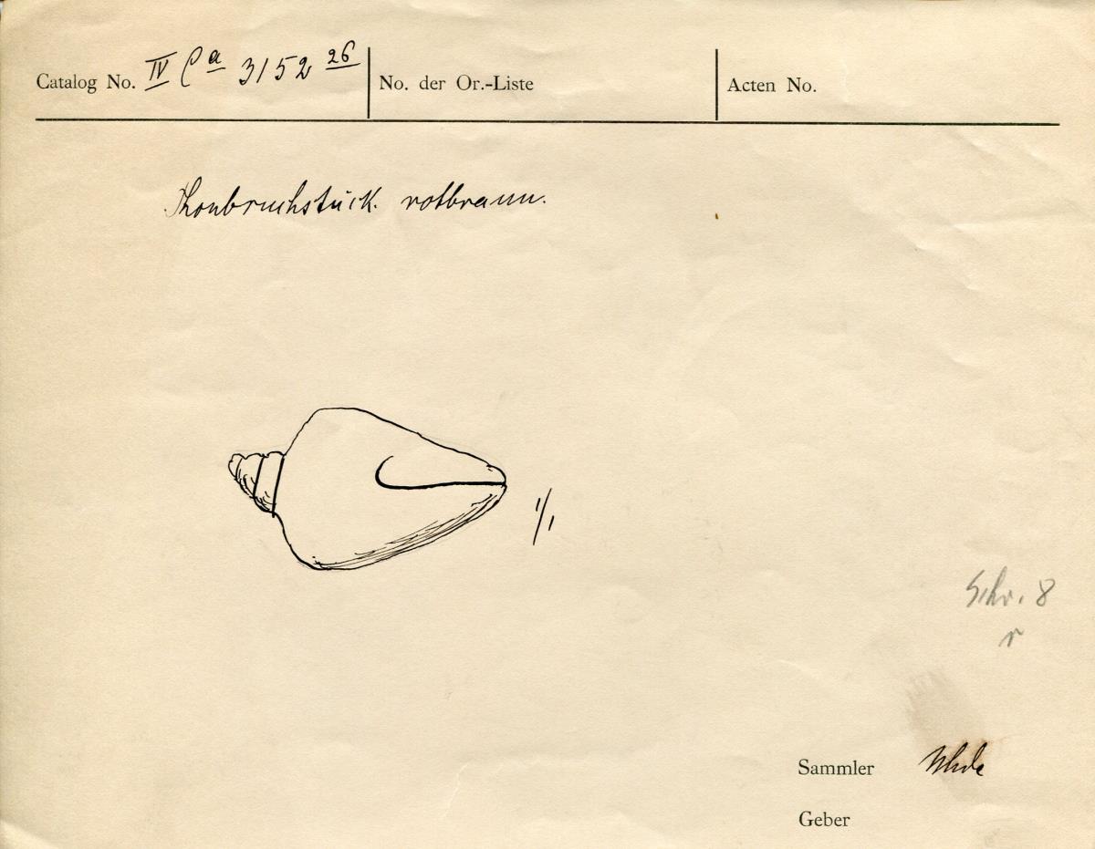 IV Ca 3152 (26)