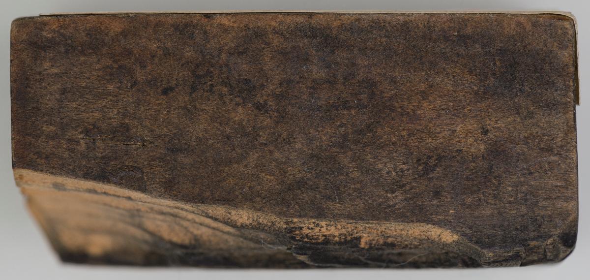 Heiligenbilder. Beschneidung / Geburt / Heimsuchung / Verkündigung / ? / ? / ? / ? / Papst Clemens / Fabian und hl. Sebastian / hl. Laurentius / Steinigung Stephan / Emerit /hl. Benedikt / hl Margarethe/hl Blasius?/hl Adalbert?/hl Martin/(Domrufer) / hl Valentin / ? / hl. Ambrosius / ? / ? / (24 Stöcke)
