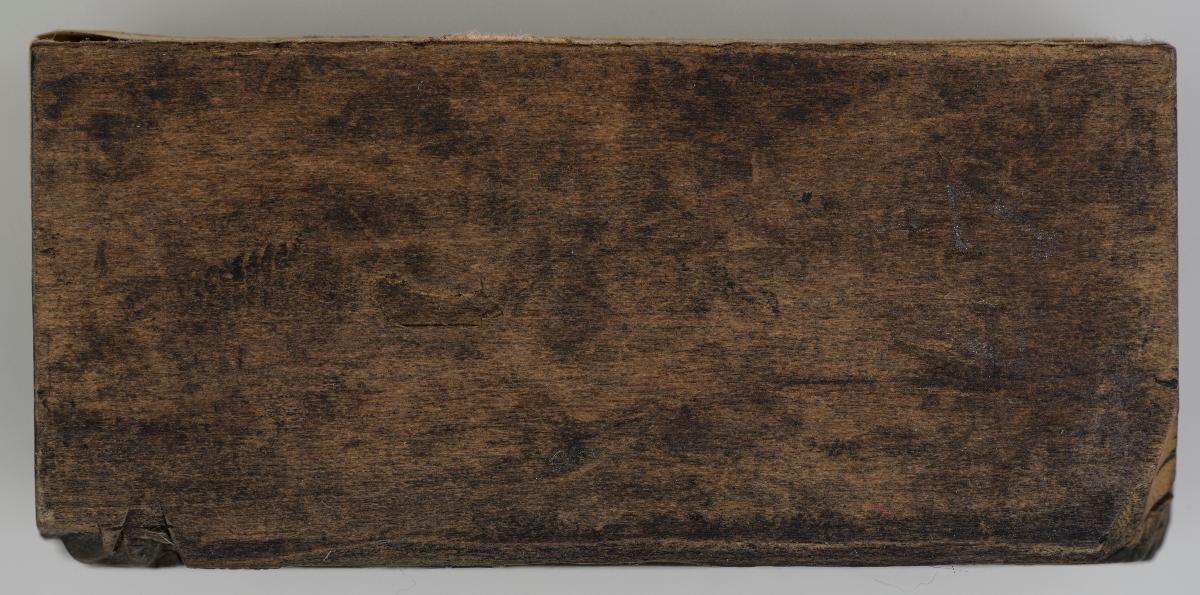 Heiligenbilder. Beschneidung / Geburt / Heimsuchung / Verkündigung / ? / ? / ? / ? / Papst Clemens / Fabian und hl. Sebastian / hl. Laurentius / Steinigung Stephan / Emerit /hl. Benedikt / hl Margarethe/hl Blasius?/hl Adalbert?/hl Martin/(Domrufer) / hl Valentin / ? / hl. Ambrosius / ? / ? / (24 Stöcke)