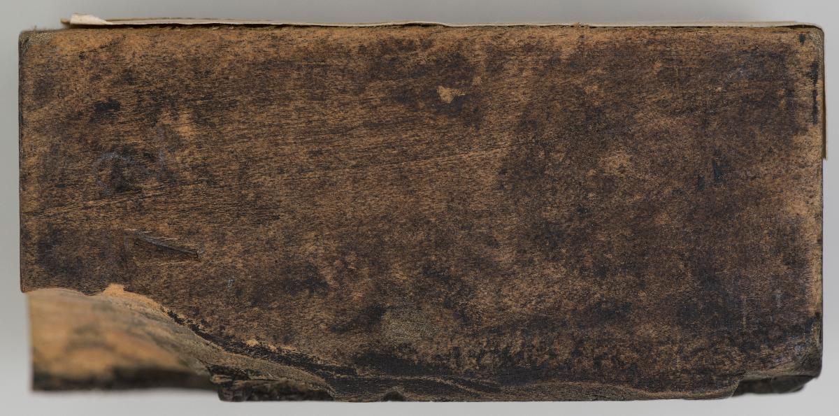Heiligenbilder. Beschneidung / Geburt / Heimsuchung / Verkündigung / ? / ? / ? / ? / Papst Clemens / Fabian und hl. Sebastian / hl. Laurentius / Steinigung Stephan / Emerit /hl. Benedikt / hl Margarethe/hl Blasius?/hl Adalbert?/hl Martin/(Domrufer) / hl Valentin / ? / hl. Ambrosius / ? / ? / (24 Stöcke)