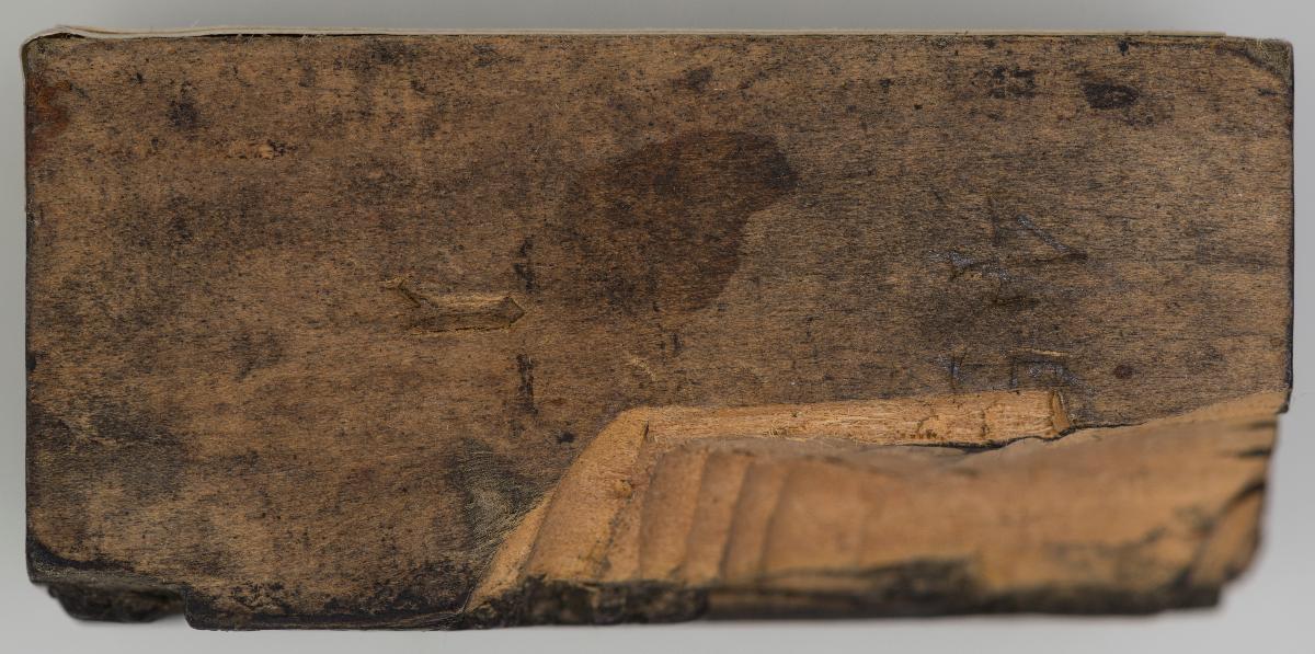Heiligenbilder. Beschneidung / Geburt / Heimsuchung / Verkündigung / ? / ? / ? / ? / Papst Clemens / Fabian und hl. Sebastian / hl. Laurentius / Steinigung Stephan / Emerit /hl. Benedikt / hl Margarethe/hl Blasius?/hl Adalbert?/hl Martin/(Domrufer) / hl Valentin / ? / hl. Ambrosius / ? / ? / (24 Stöcke)