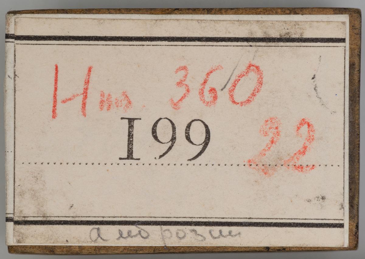 Heiligenbilder. Beschneidung / Geburt / Heimsuchung / Verkündigung / ? / ? / ? / ? / Papst Clemens / Fabian und hl. Sebastian / hl. Laurentius / Steinigung Stephan / Emerit /hl. Benedikt / hl Margarethe/hl Blasius?/hl Adalbert?/hl Martin/(Domrufer) / hl Valentin / ? / hl. Ambrosius / ? / ? / (24 Stöcke)