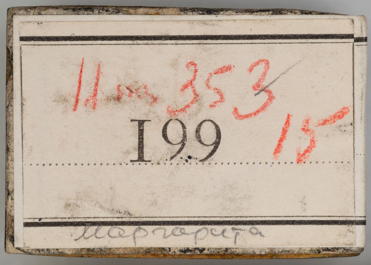 Heiligenbilder. Beschneidung / Geburt / Heimsuchung / Verkündigung / ? / ? / ? / ? / Papst Clemens / Fabian und hl. Sebastian / hl. Laurentius / Steinigung Stephan / Emerit /hl. Benedikt / hl Margarethe/hl Blasius?/hl Adalbert?/hl Martin/(Domrufer) / hl Valentin / ? / hl. Ambrosius / ? / ? / (24 Stöcke)