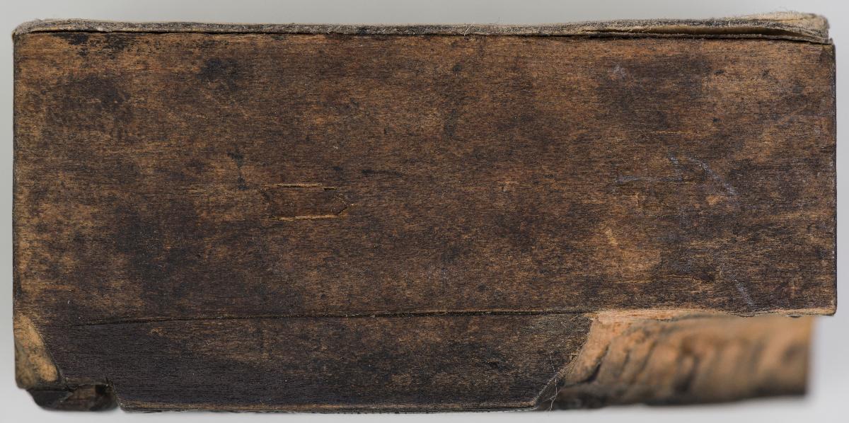 Heiligenbilder. Beschneidung / Geburt / Heimsuchung / Verkündigung / ? / ? / ? / ? / Papst Clemens / Fabian und hl. Sebastian / hl. Laurentius / Steinigung Stephan / Emerit /hl. Benedikt / hl Margarethe/hl Blasius?/hl Adalbert?/hl Martin/(Domrufer) / hl Valentin / ? / hl. Ambrosius / ? / ? / (24 Stöcke)