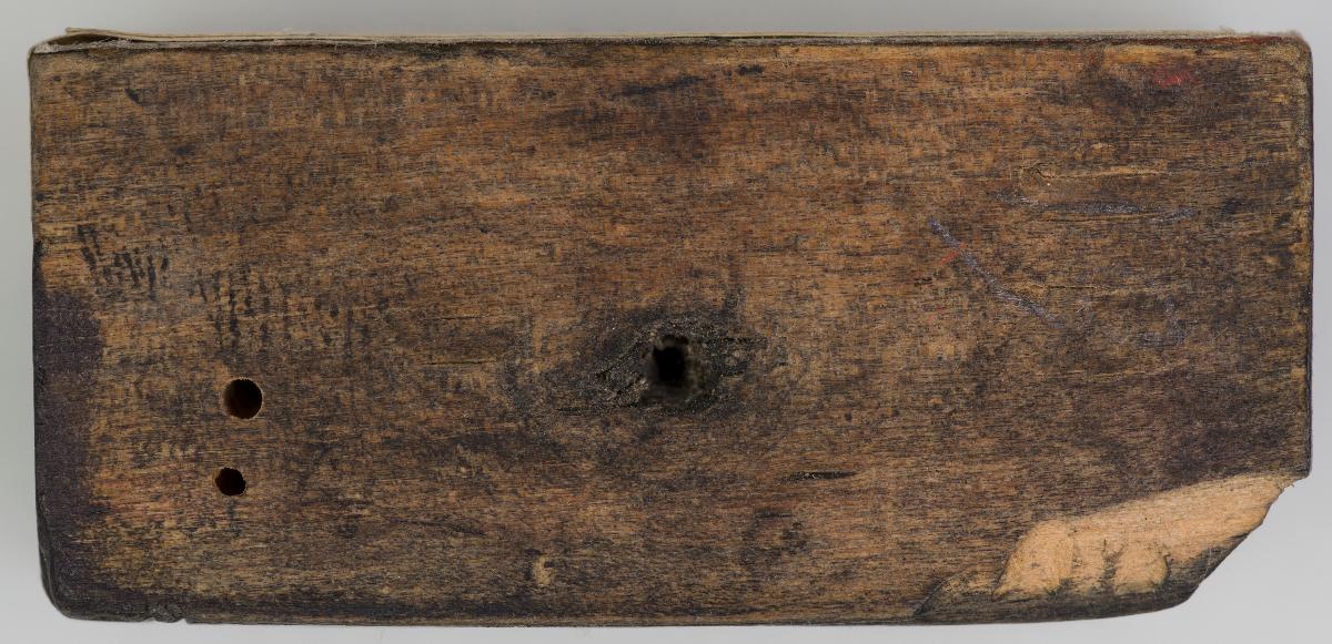 Heiligenbilder. Beschneidung / Geburt / Heimsuchung / Verkündigung / ? / ? / ? / ? / Papst Clemens / Fabian und hl. Sebastian / hl. Laurentius / Steinigung Stephan / Emerit /hl. Benedikt / hl Margarethe/hl Blasius?/hl Adalbert?/hl Martin/(Domrufer) / hl Valentin / ? / hl. Ambrosius / ? / ? / (24 Stöcke)