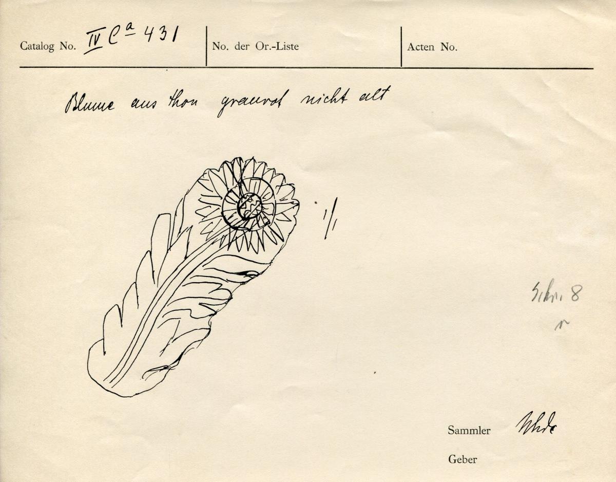 IV Ca 431
