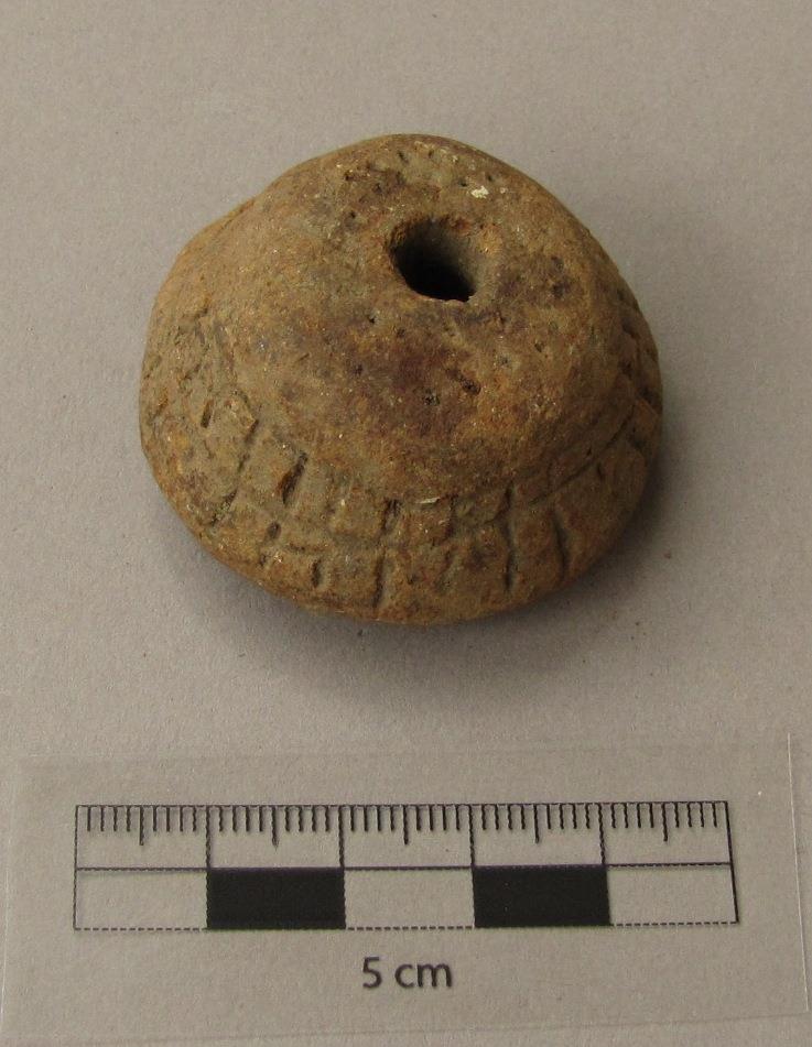 V A 1516
