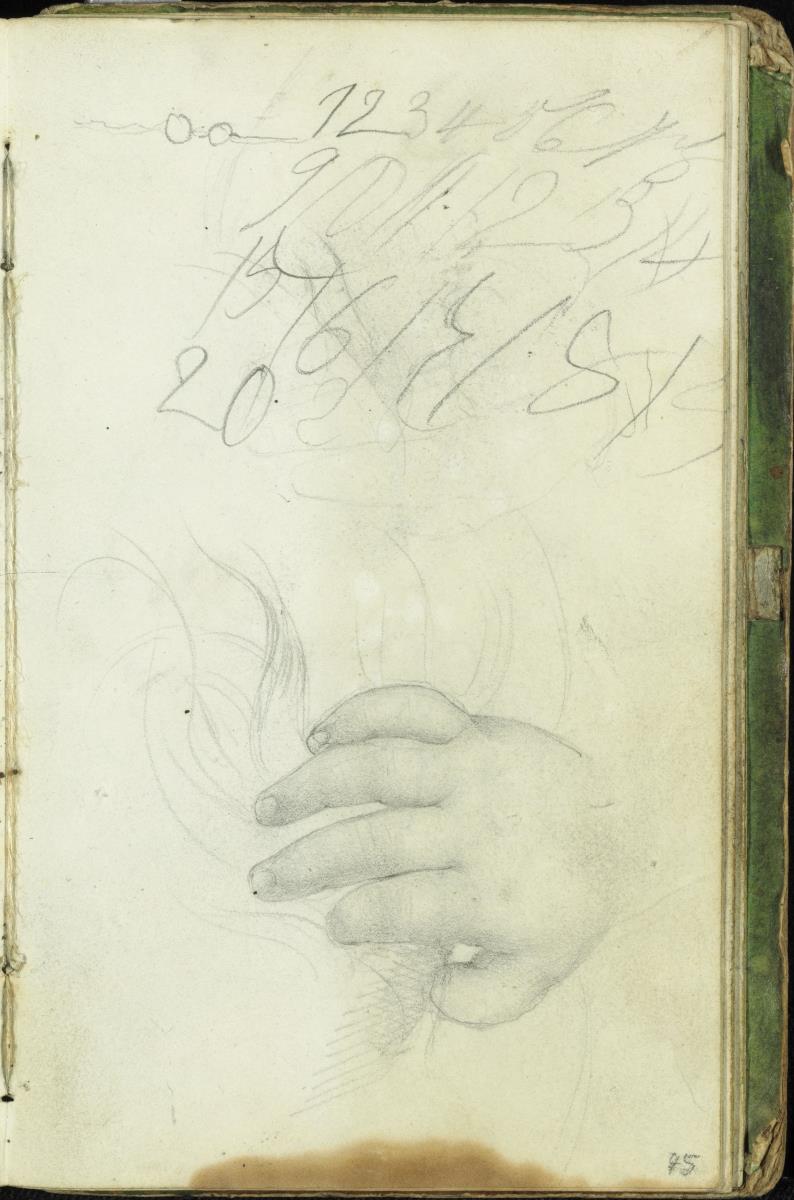 Handstudie. Kinderhand