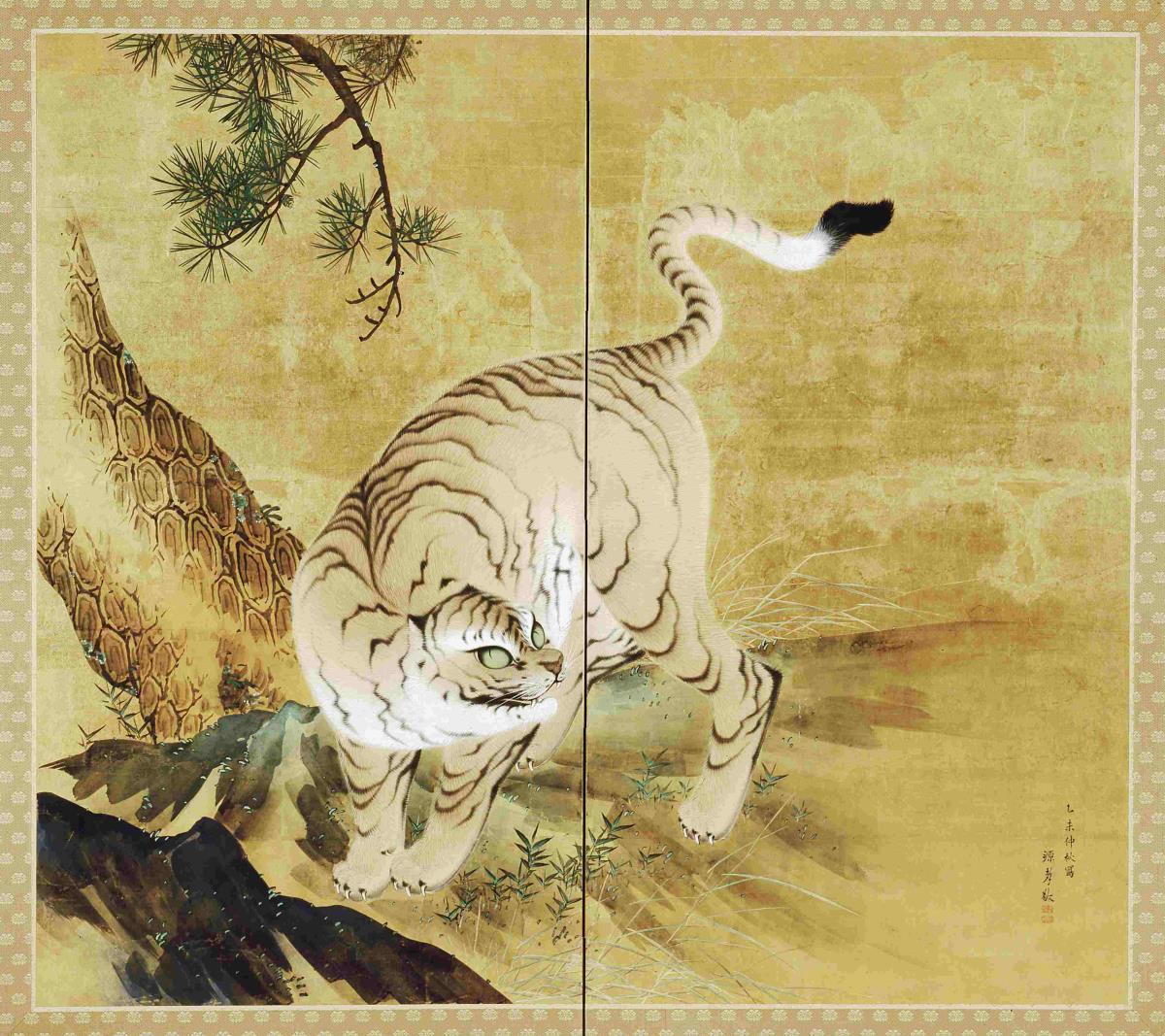 Tiger unter Kiefer