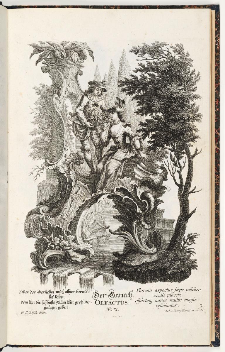 Verl.-Nr. 71. 5 Blatt Muschelwerk mit Figuren: die fünf Sinne