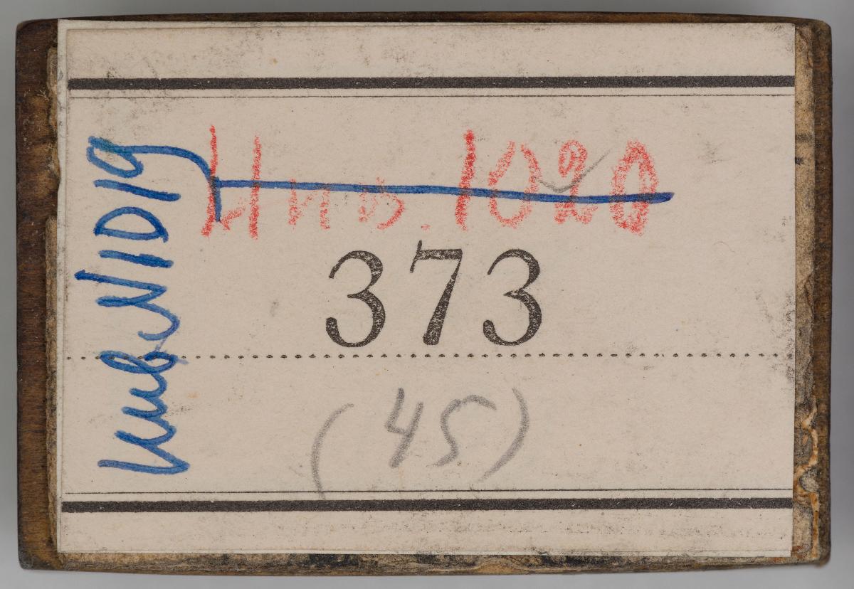 Heiligenbilder aus einem Kalender
(76 Stöcke)