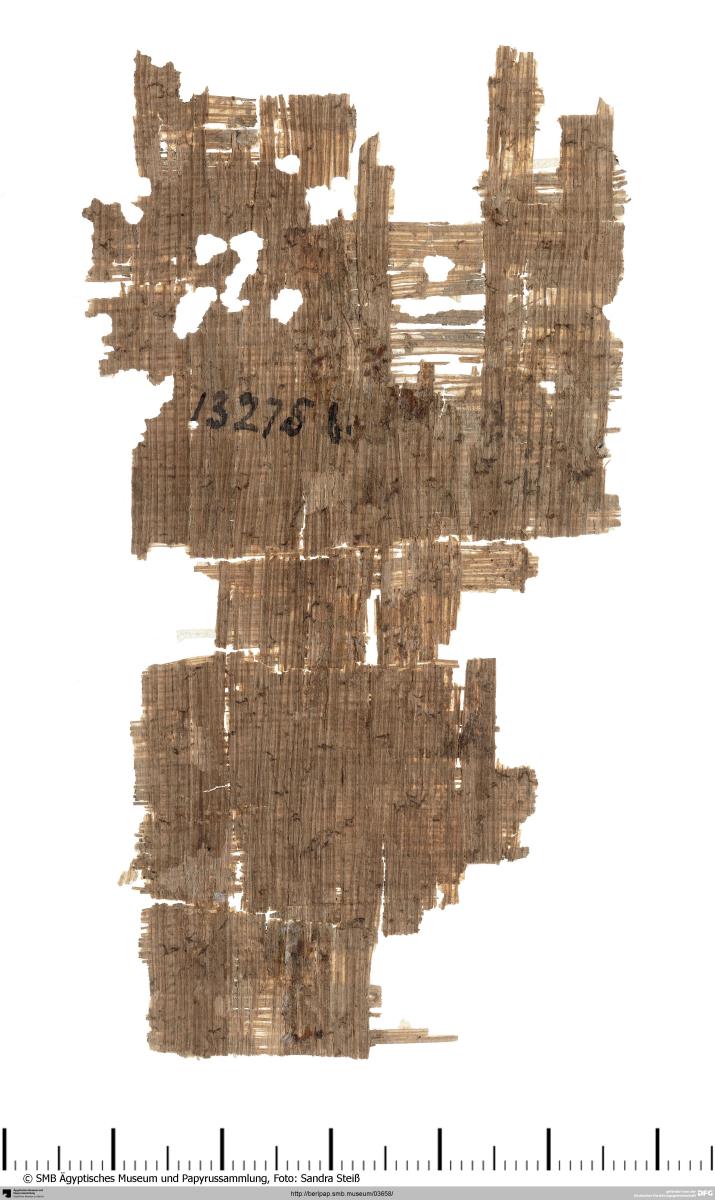 Papyrus mit einer Wirkmustervorlage