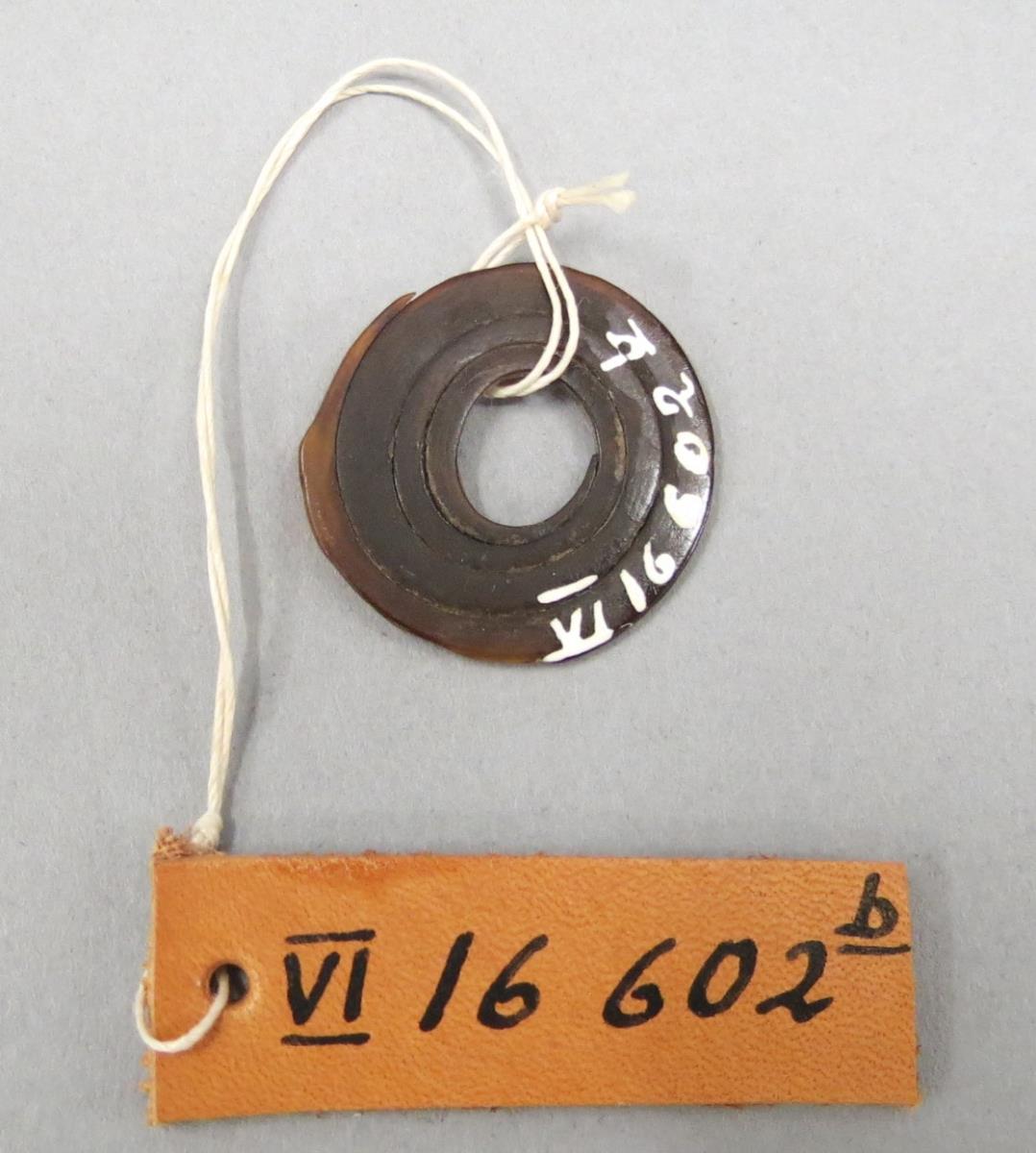 VI 16602 b