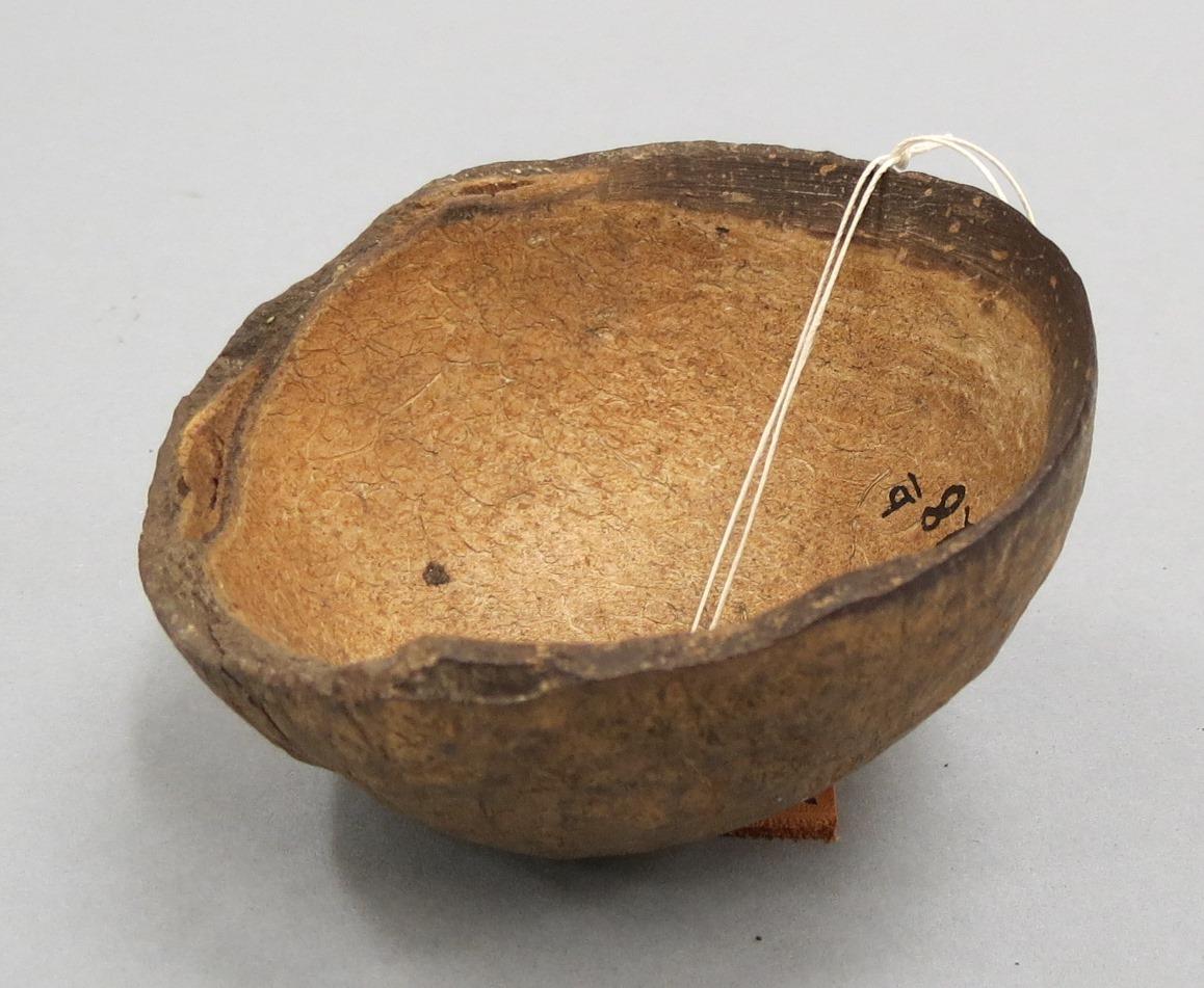 VI 42728 b
