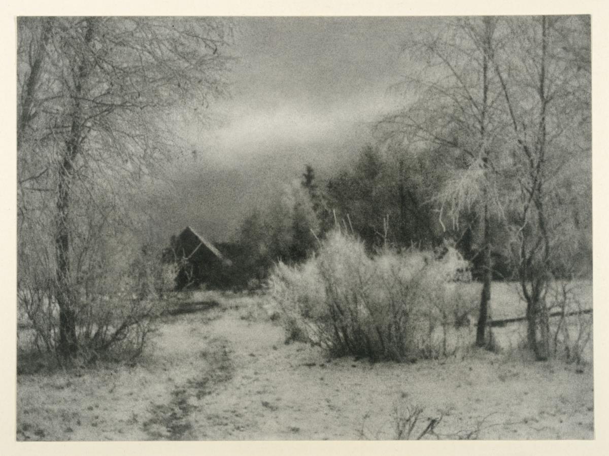 Winterdämmerung