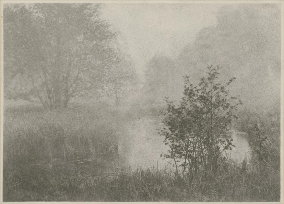 Morgennebel