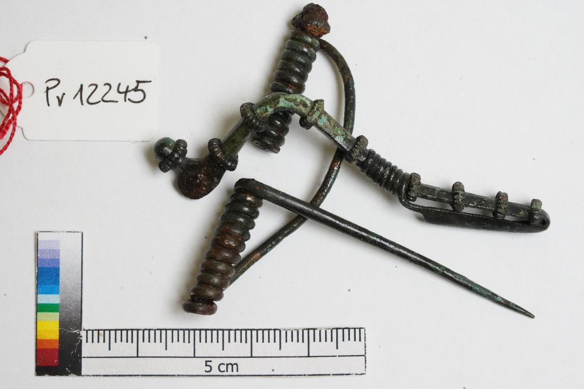 Armbrustfibel