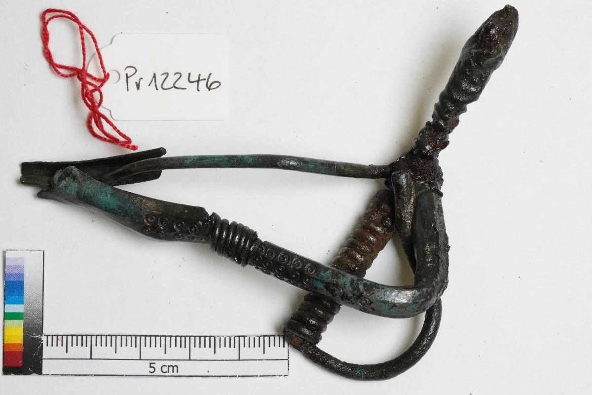 Armbrustfibel