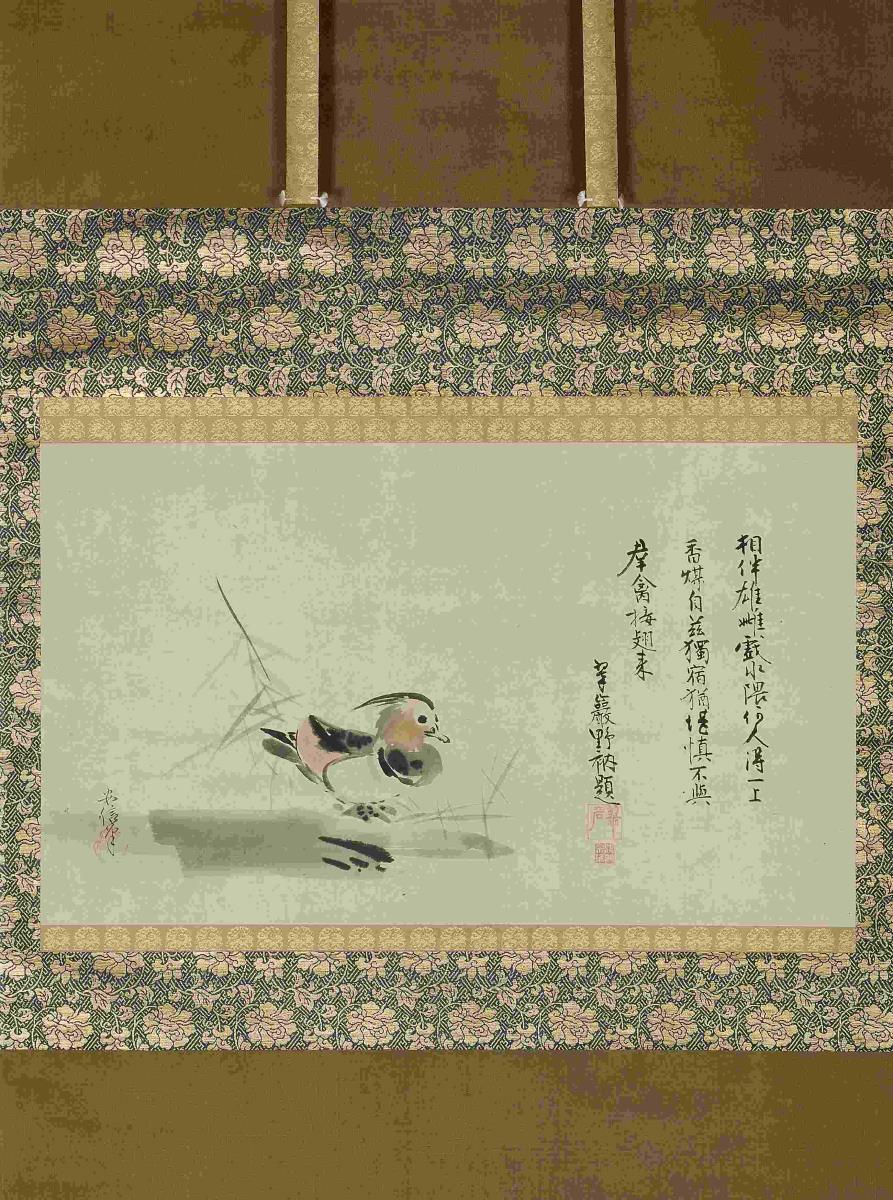 Mandarin-Ente