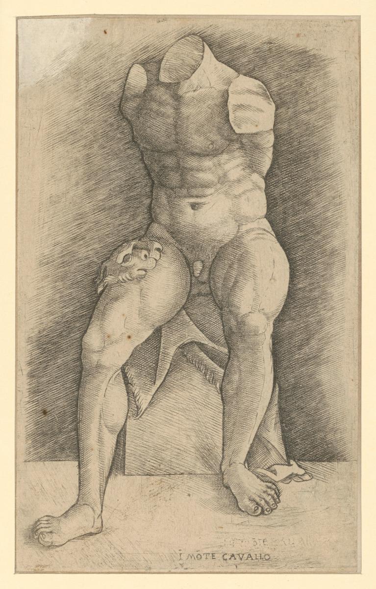 Torso Belvedere