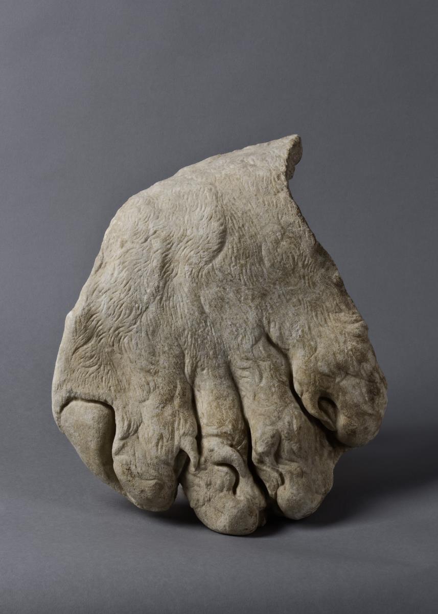 Löwenfell-Fragment (Pfote) einer überlebensgroßen Heraklesstatue