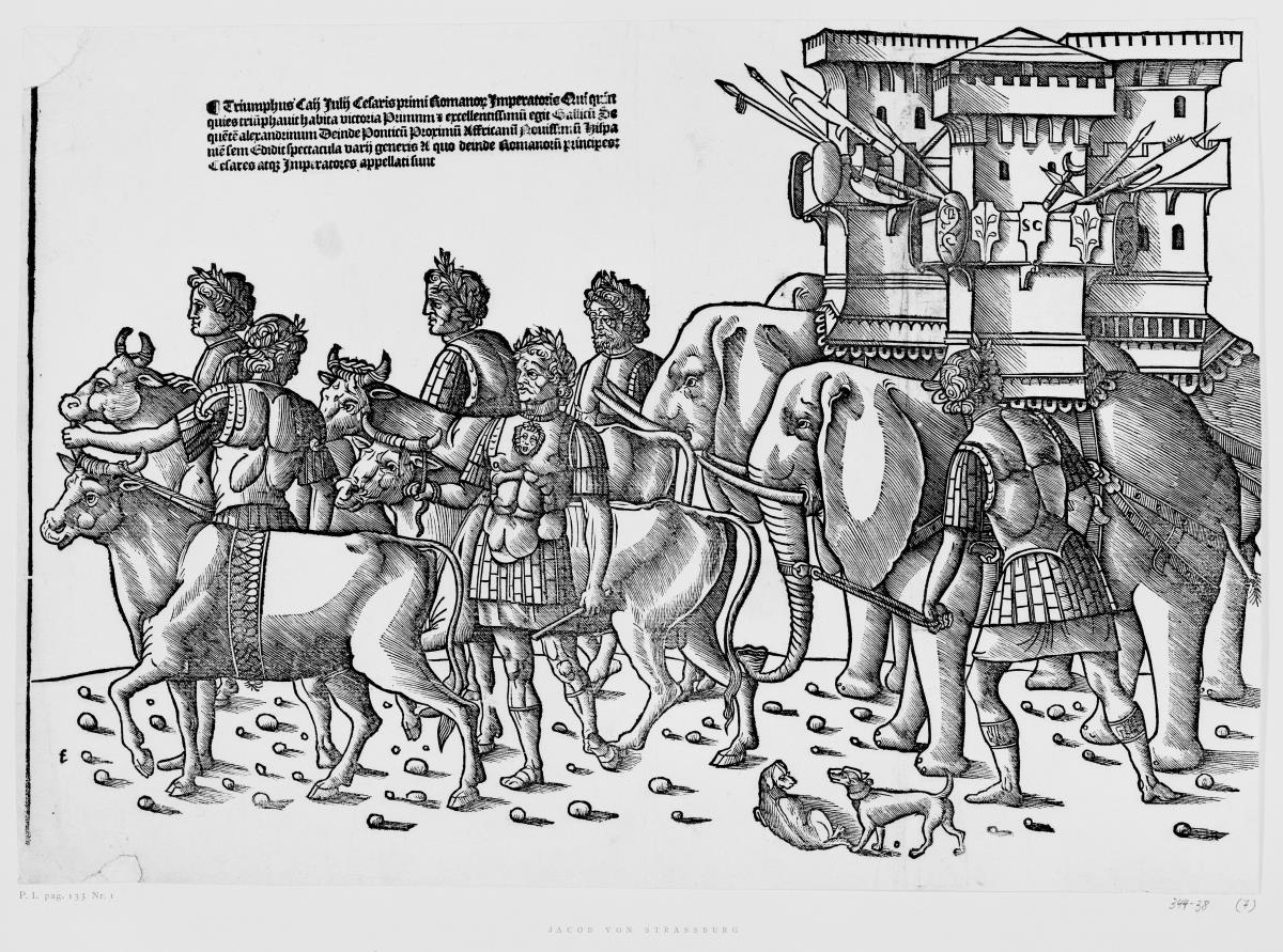 Triumphzug Cäsars, Blatt 7: Stiere und Elefanten