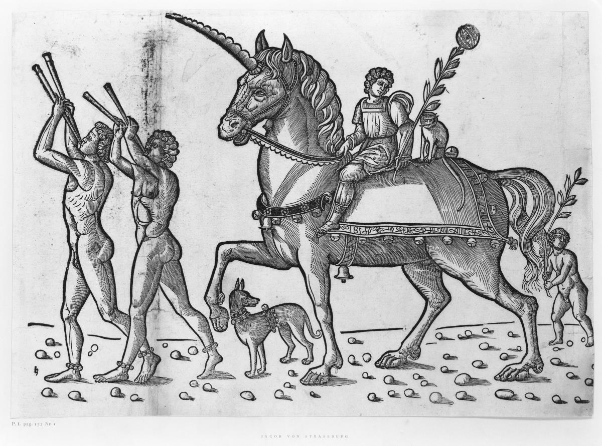 Triumphzug Cäsars, Blatt 9: Das Pferd von Cäsar