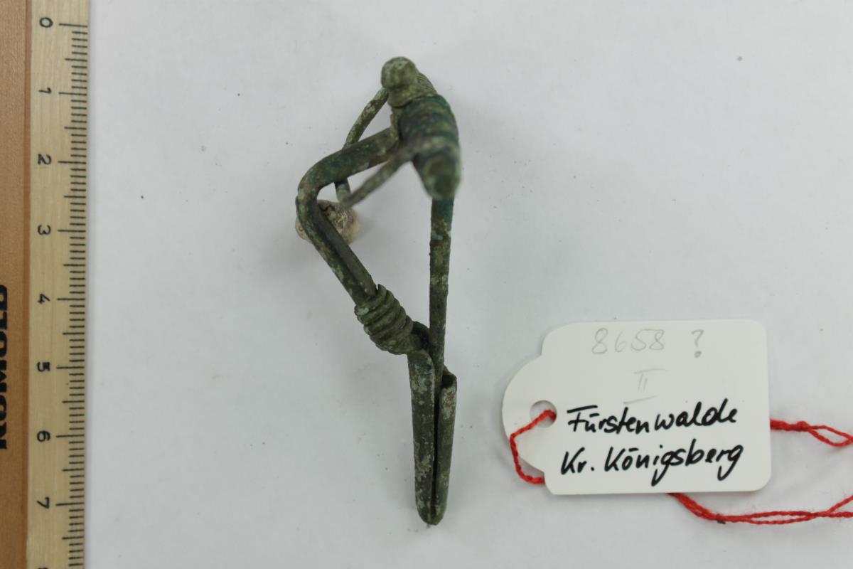 Armbrustfibel
