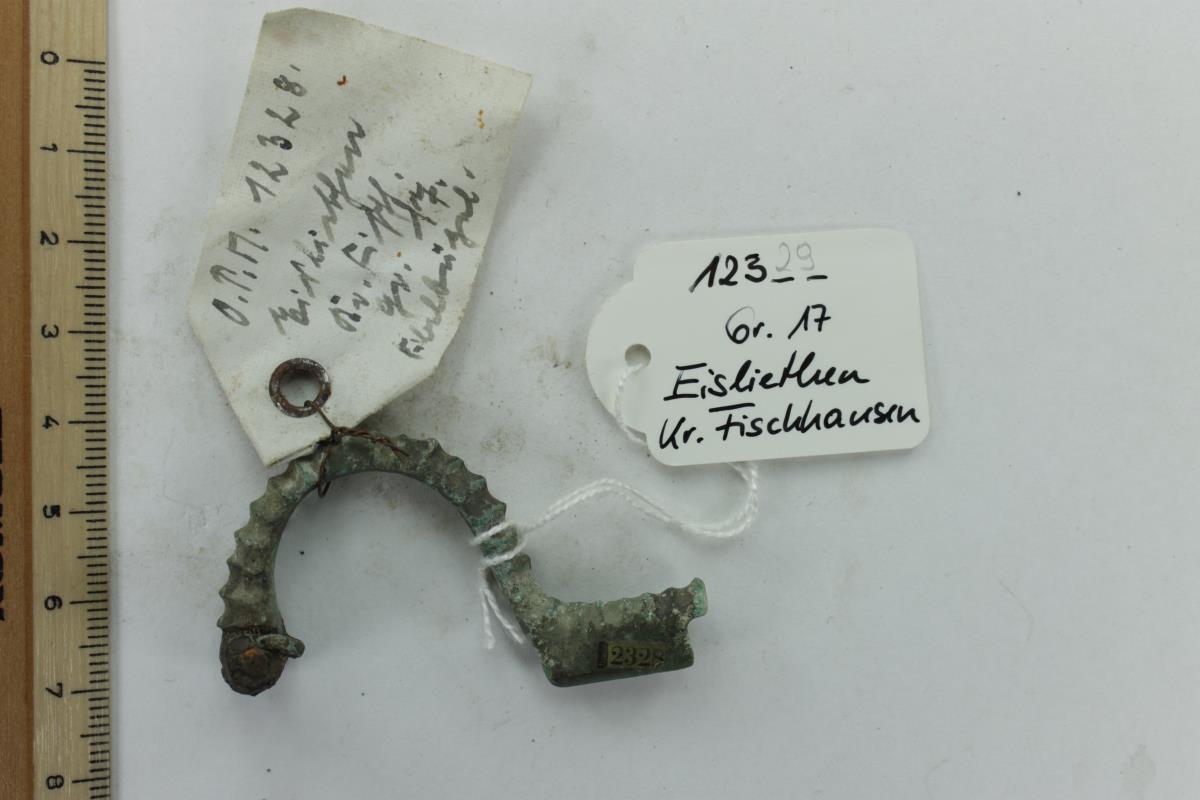 Armbrustfibel