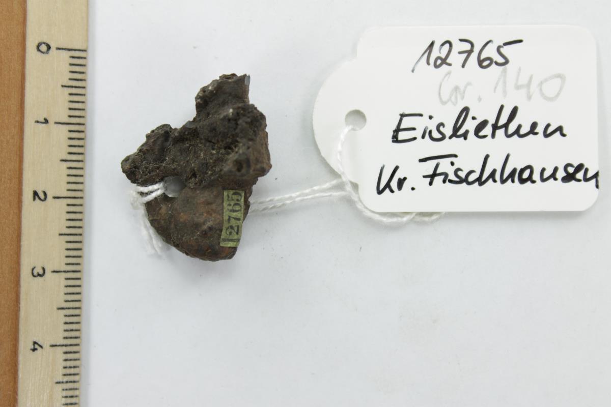 Fibelfragment