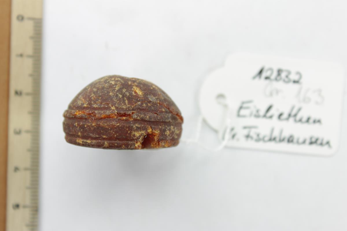 Bernsteinperle